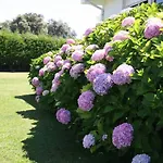 Semesterbostad Perfect For Lovers And Golfers Somo