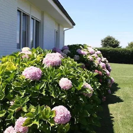 Perfect For Lovers And Golfers Ferienhaus Somo