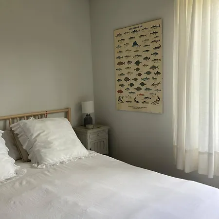 Perfect For Lovers And Golfers