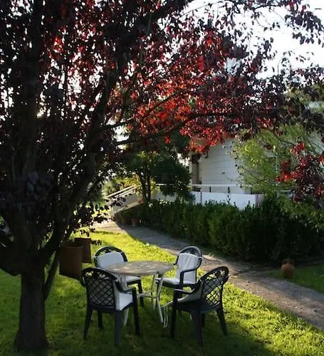 Perfect For Lovers And Golfers * Somo