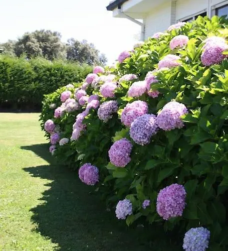 Tatil Evi Perfect For Lovers And Golfers Somo