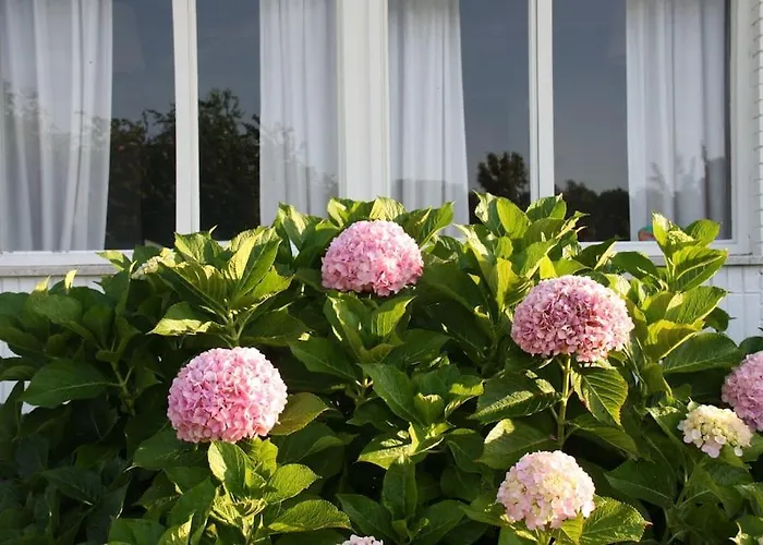 Perfect For Lovers And Golfers Holiday home