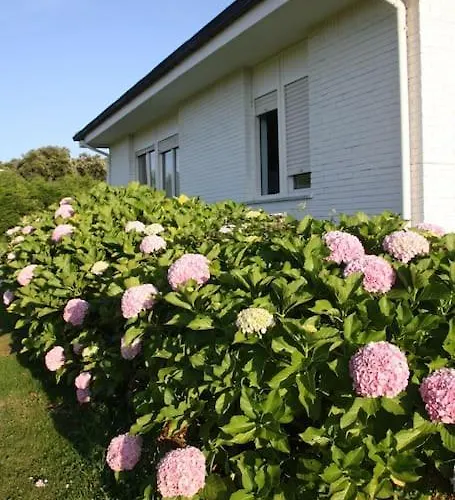 Perfect For Lovers And Golfers Holiday home Somo