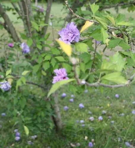 Perfect For Lovers And Golfers 소모