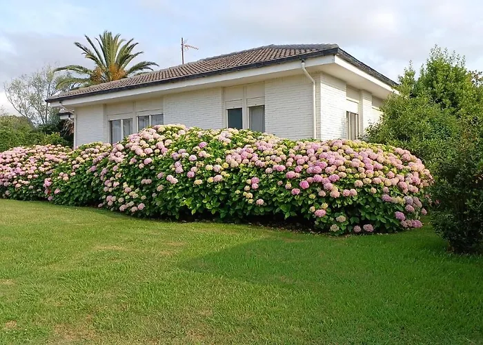 Perfect For Lovers And Golfers * Somo