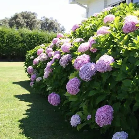 度假居 Perfect For Lovers And Golfers 擞莫