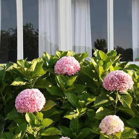 Perfect For Lovers And Golfers 度假居