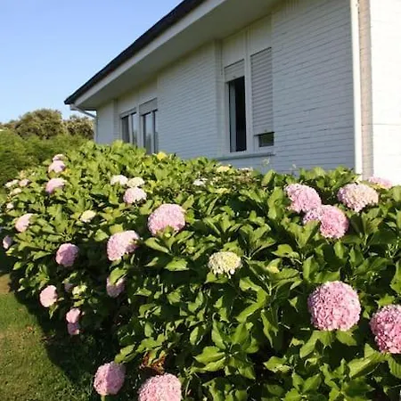 Perfect For Lovers And Golfers Holiday home Somo