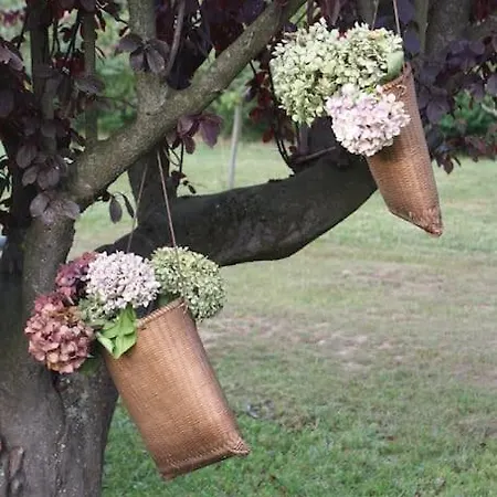 Perfect For Lovers And Golfers Сомо