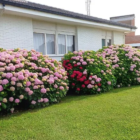 Perfect For Lovers And Golfers 擞莫