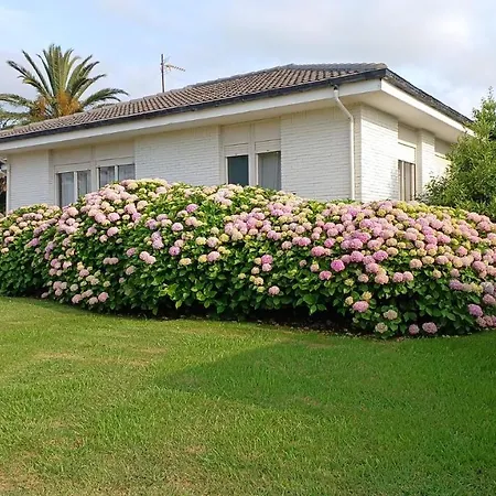 Perfect For Lovers And Golfers * 擞莫