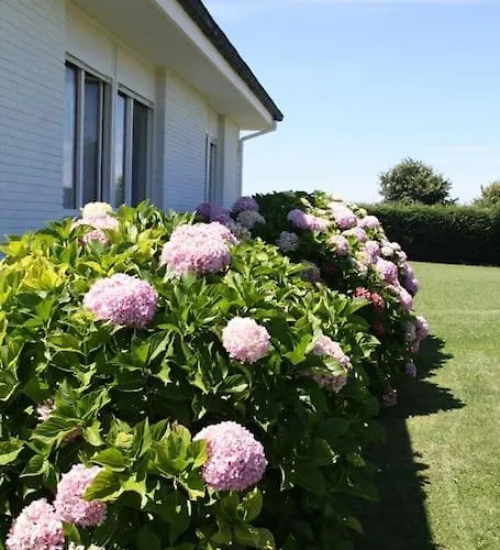 Perfect For Lovers And Golfers Feriehus Somo