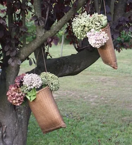 Perfect For Lovers And Golfers סומו