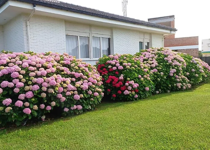 Perfect For Lovers And Golfers סומו